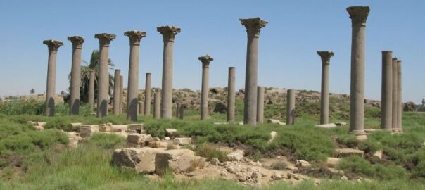 Rows of ancient stone columns in a desert ruin under a clear blue sky.